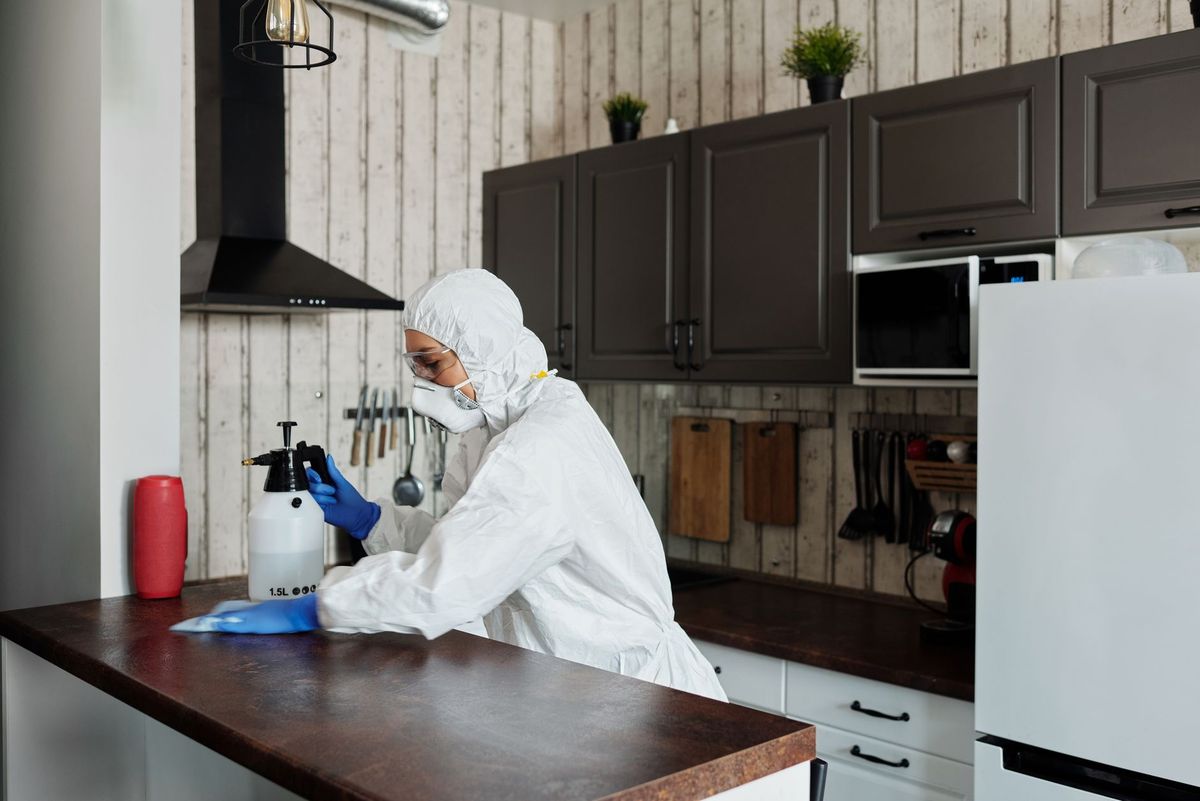 Professional cleaner caring for a Venice Florida interior